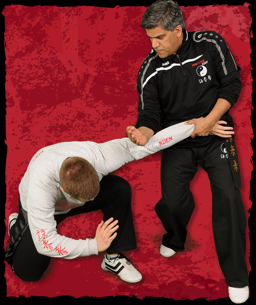 Meridian Martial Arts Adult Wing Chun Training