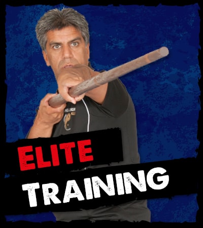 Meridian HQ Wing Chun Elite Training