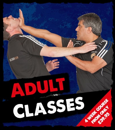 Meridian HQ Wing Chun Adult Classes